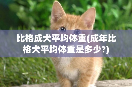 比格成犬平均體重(成年比格犬平均體重是多少?)