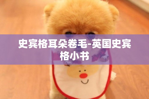 史賓格耳朵卷毛-英國史賓格小書