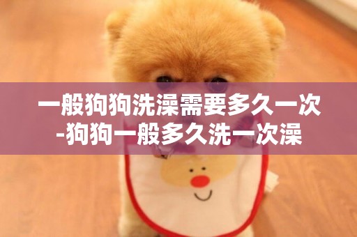 一般狗狗洗澡需要多久一次-狗狗一般多久洗一次澡