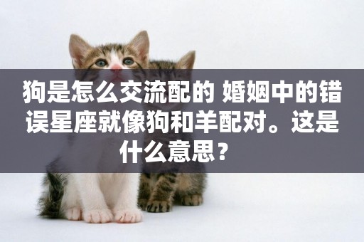 狗是怎么交流配的 婚姻中的錯誤星座就像狗和羊配對。這是什么意思？ 