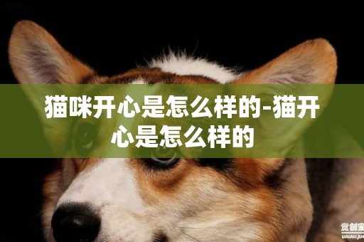 貓咪開心是怎么樣的-貓開心是怎么樣的