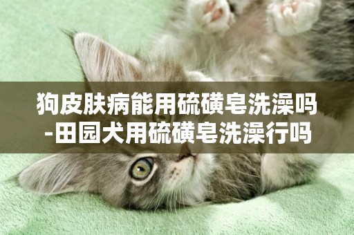 狗皮膚病能用硫磺皂洗澡嗎-田園犬用硫磺皂洗澡行嗎