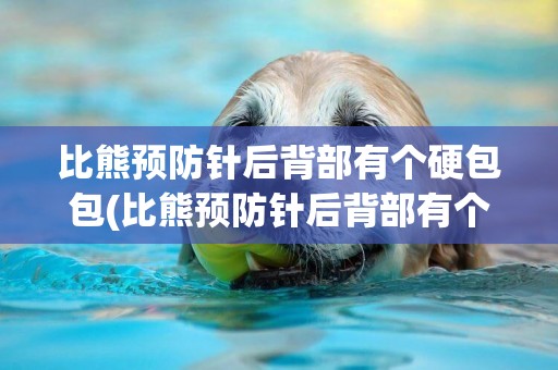 比熊預防針后背部有個硬包包(比熊預防針后背部有個硬包包怎么辦)