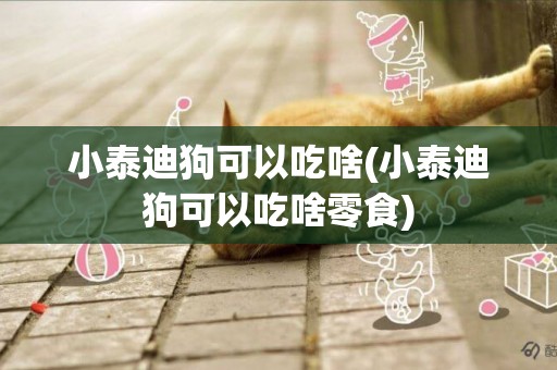 小泰迪狗可以吃啥(小泰迪狗可以吃啥零食)