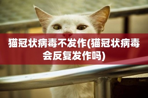 貓冠狀病毒不發作(貓冠狀病毒會反復發作嗎)