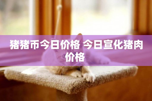 豬豬幣今日價格 今日宣化豬肉價格 