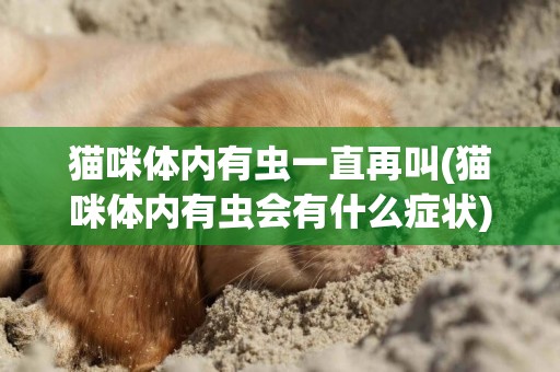 貓咪體內有蟲一直再叫(貓咪體內有蟲會有什么癥狀)