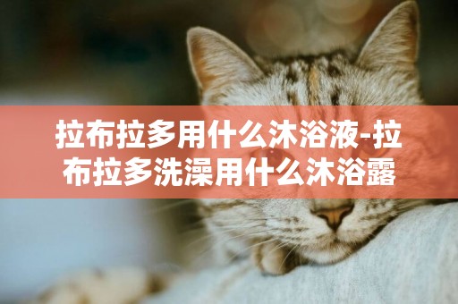 拉布拉多用什么沐浴液-拉布拉多洗澡用什么沐浴露