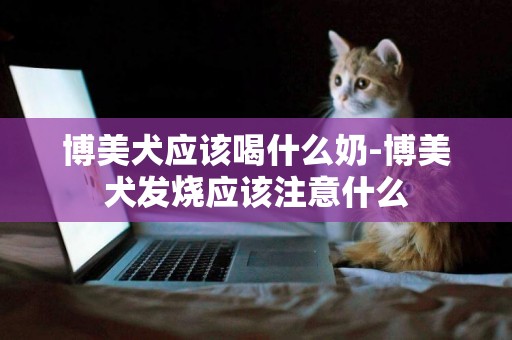 博美犬應該喝什么奶-博美犬發燒應該注意什么