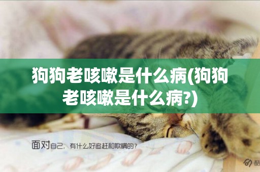 狗狗老咳嗽是什么病(狗狗老咳嗽是什么病?)