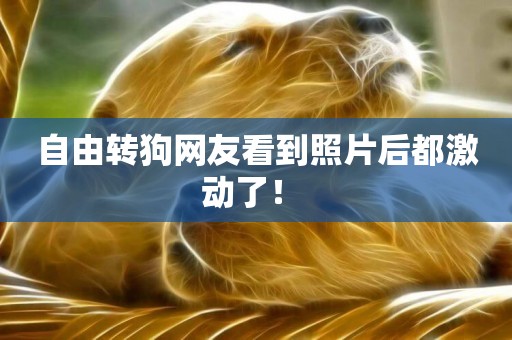 自由轉狗網友看到照片后都激動了！ 