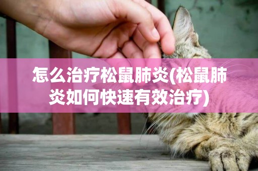 怎么治療松鼠肺炎(松鼠肺炎如何快速有效治療)
