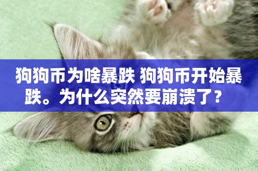 狗狗幣為啥暴跌 狗狗幣開始暴跌。為什么突然要崩潰了？ 