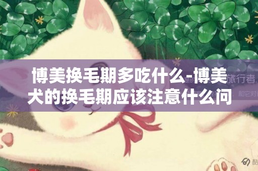 博美換毛期多吃什么-博美犬的換毛期應該注意什么問題