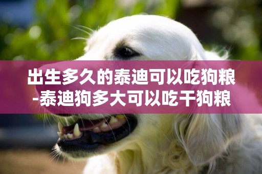 出生多久的泰迪可以吃狗糧-泰迪狗多大可以吃干狗糧