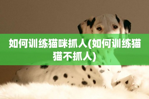 如何訓練貓咪抓人(如何訓練貓貓不抓人)