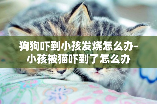 狗狗嚇到小孩發燒怎么辦-小孩被貓嚇到了怎么辦