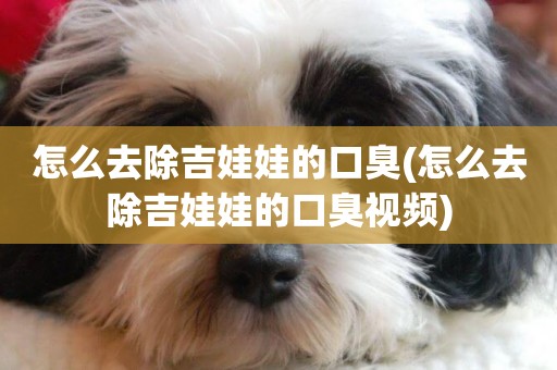 怎么去除吉娃娃的口臭(怎么去除吉娃娃的口臭視頻)