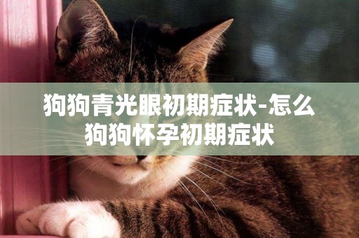 狗狗青光眼初期癥狀-怎么狗狗懷孕初期癥狀