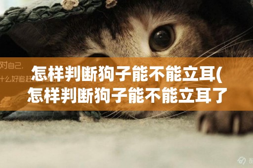 怎樣判斷狗子能不能立耳(怎樣判斷狗子能不能立耳了)