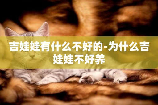 吉娃娃有什么不好的-為什么吉娃娃不好養