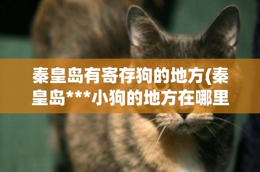 秦皇島有寄存狗的地方(秦皇島***小狗的地方在哪里)