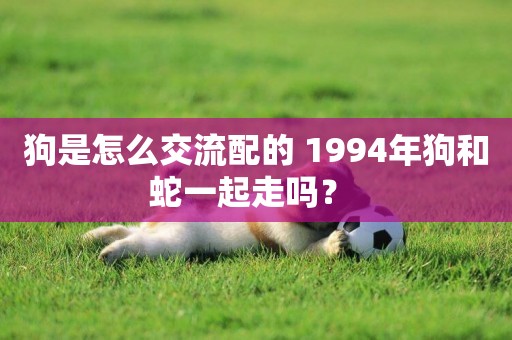 狗是怎么交流配的 1994年狗和蛇一起走嗎？ 
