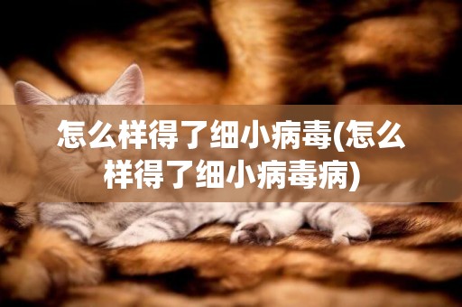 怎么樣得了細小病毒(怎么樣得了細小病毒病)