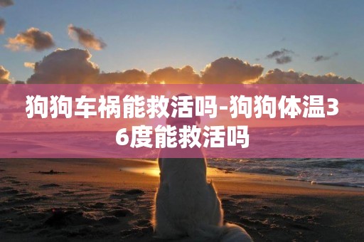 狗狗車禍能救活嗎-狗狗體溫36度能救活嗎