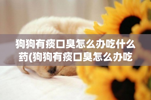狗狗有痰口臭怎么辦吃什么藥(狗狗有痰口臭怎么辦吃什么藥最好)
