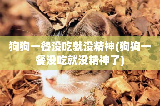 狗狗一餐沒吃就沒精神(狗狗一餐沒吃就沒精神了)