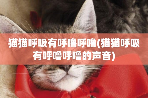 貓貓呼吸有呼嚕呼嚕(貓貓呼吸有呼嚕呼嚕的聲音)