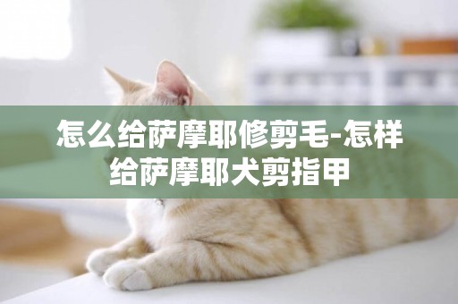 怎么給薩摩耶修剪毛-怎樣給薩摩耶犬剪指甲