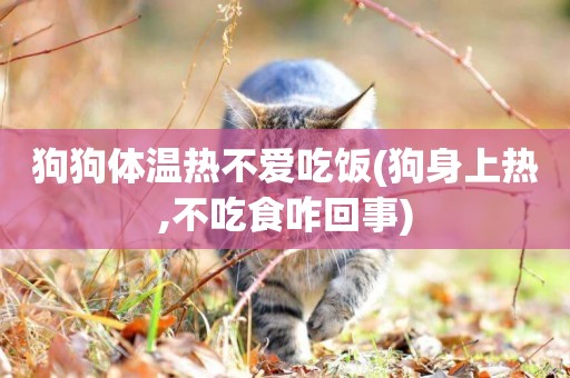 狗狗體溫熱不愛吃飯(狗身上熱,不吃食咋回事)