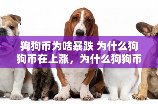 狗狗幣為啥暴跌 為什么狗狗幣在上漲，為什么狗狗幣在暴跌 