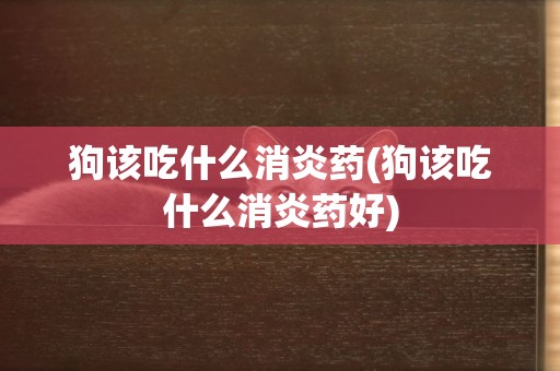 狗該吃什么消炎藥(狗該吃什么消炎藥好)