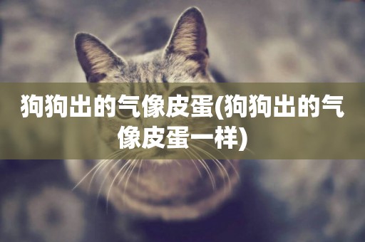 狗狗出的氣像皮蛋(狗狗出的氣像皮蛋一樣)