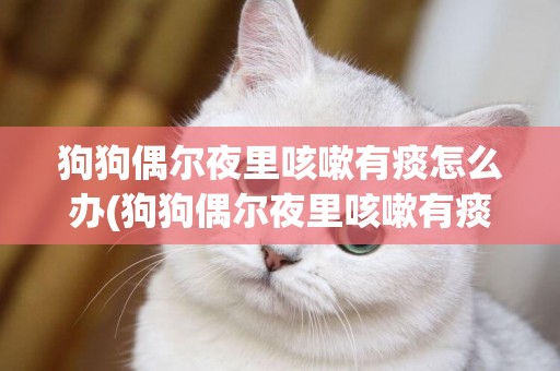 狗狗偶爾夜里咳嗽有痰怎么辦(狗狗偶爾夜里咳嗽有痰怎么辦呢)
