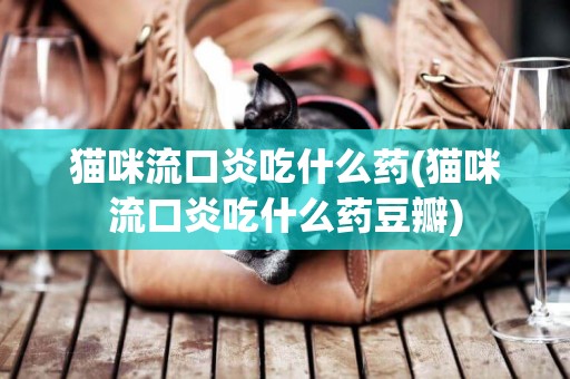 貓咪流口炎吃什么藥(貓咪流口炎吃什么藥豆瓣)