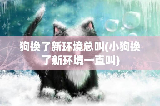 狗換了新環境總叫(小狗換了新環境一直叫)