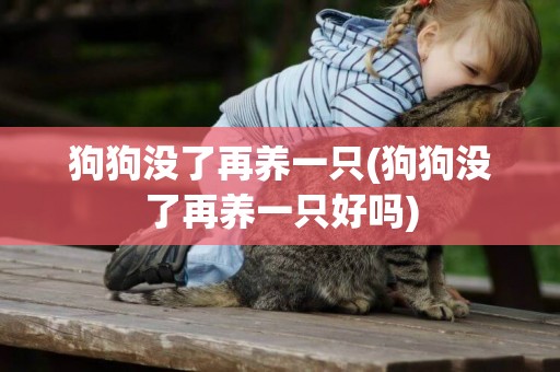 狗狗沒了再養一只(狗狗沒了再養一只好嗎)