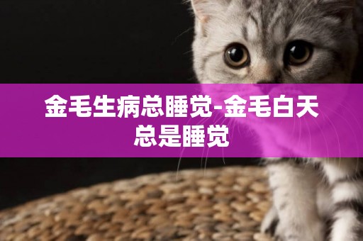 金毛生病總睡覺-金毛白天總是睡覺