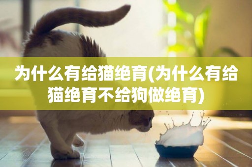 為什么有給貓絕育(為什么有給貓絕育不給狗做絕育)