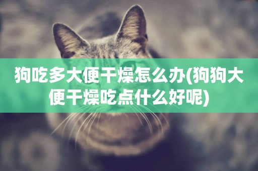 狗吃多大便干燥怎么辦(狗狗大便干燥吃點什么好呢)