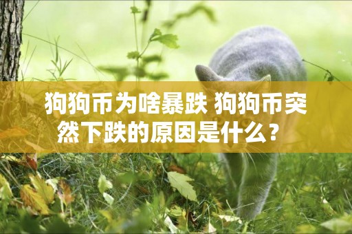 狗狗幣為啥暴跌 狗狗幣突然下跌的原因是什么？ 