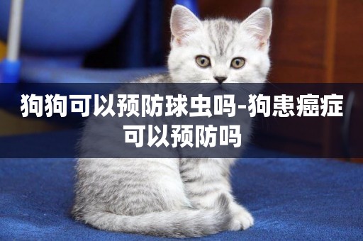 狗狗可以預防球蟲嗎-狗患癌癥可以預防嗎