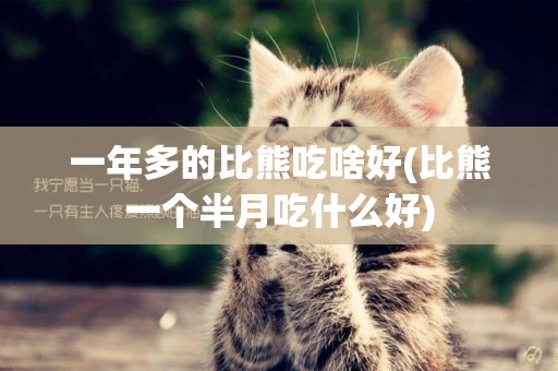 一年多的比熊吃啥好(比熊一個半月吃什么好)