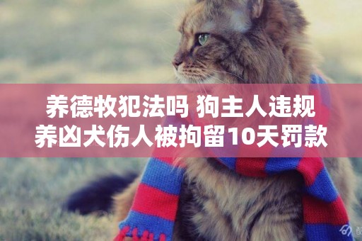 養德牧犯法嗎 狗主人違規養兇犬傷人被拘留10天罰款600元 