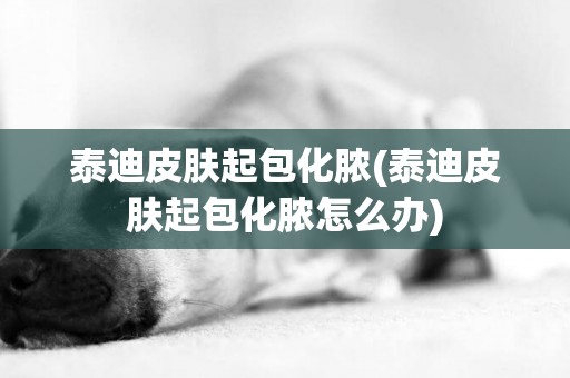 泰迪皮膚起包化膿(泰迪皮膚起包化膿怎么辦)