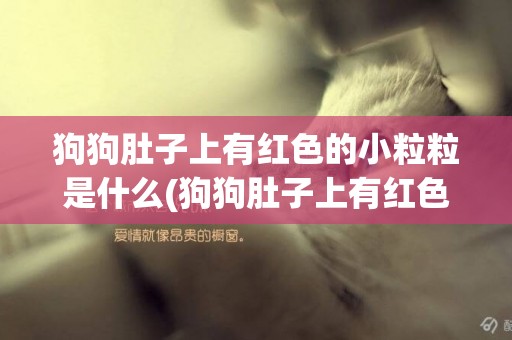 狗狗肚子上有紅色的小粒粒是什么(狗狗肚子上有紅色的小粒粒是什么原因)